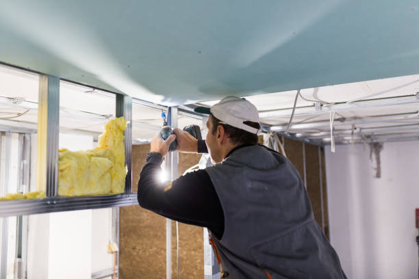 Best Eco-Friendly Insulation in Shorewood Forest, IN
