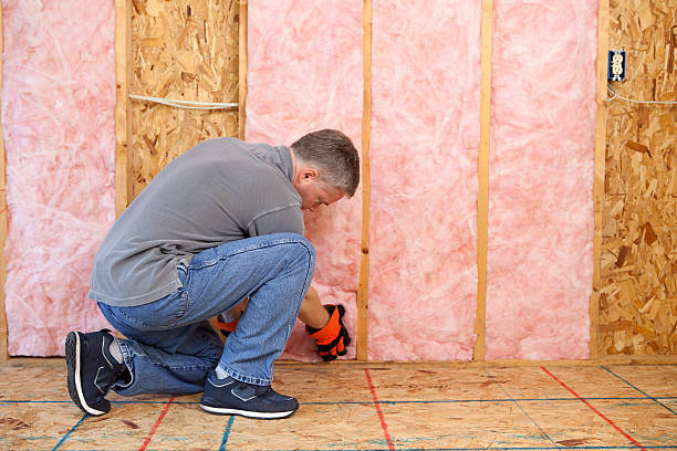 Best Geographic-Specific Insulation Services in Shorewood Forest, IN